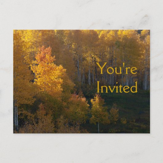 秋の木々感謝祭ディナー招待状 インビテーションポストカード (正面)
