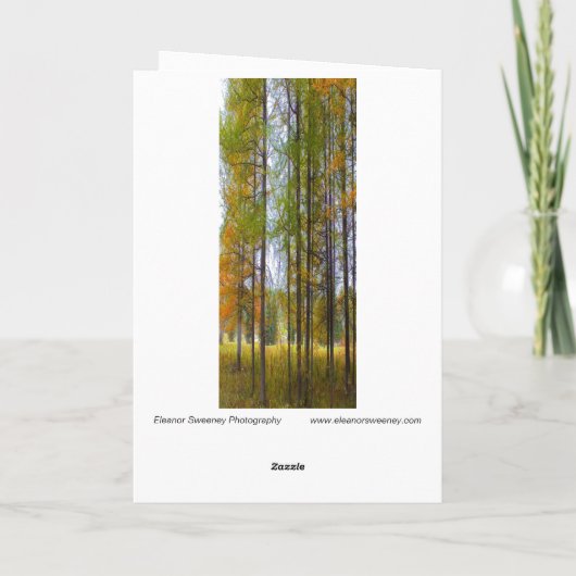 . .秋の木々» カード (裏面)