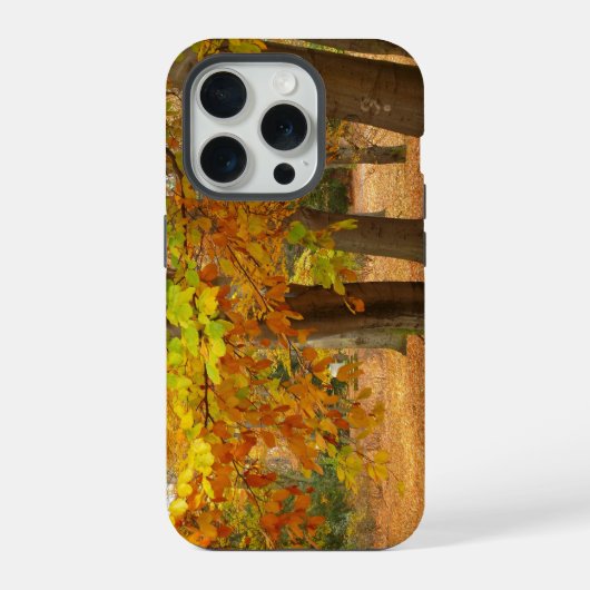 秋の木々 iPhoneケース (裏面)