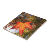 秋の木から落ち葉 タイル (側面)