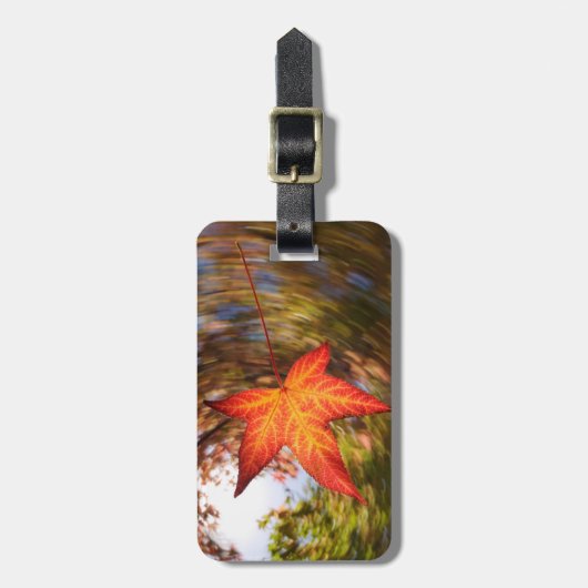 秋の木から落ち葉 ラゲッジタグ (正面縦)