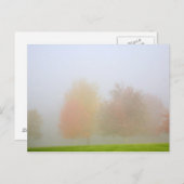 秋の木が霧に包まれている ポストカード (正面/裏面)