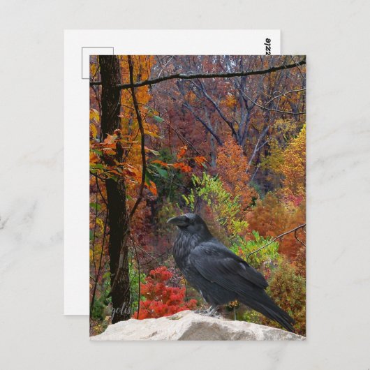 秋の木とカラス季節のポストカード ポストカード (正面/裏面)