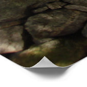 秋の木と壁 ポスター (角)