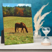 秋の木に咲く赤茶色の馬 フォトプラーク (側面)