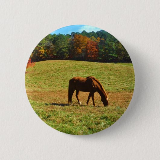 秋の木に咲く赤茶色の馬 缶バッジ (正面)
