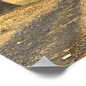 秋の木のポスター ポスター (角)