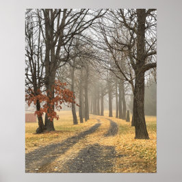 秋の木のポスター ポスター