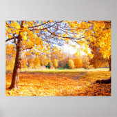 秋の木のポスター ポスター (正面)