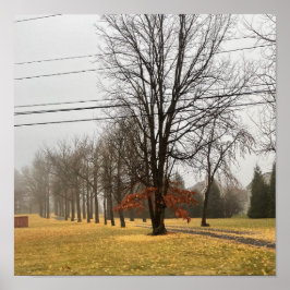 秋の木のポスター ポスター