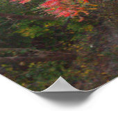 秋の木のポスター ポスター (角)