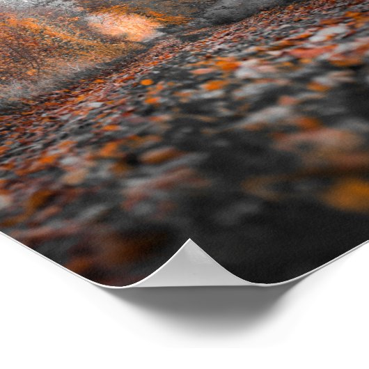 秋の木の写真 ポスター (角)