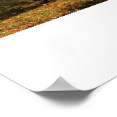 秋の木の列 ポスター (角)