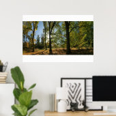 秋の木の列 ポスター (ホームオフィス)