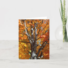 秋の木の影ノートカード サンキューカード