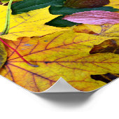 秋の木の葉の質感の背景 ポスター (角)