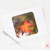 秋の木の葉 スクエアシール (封筒)