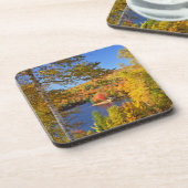 秋の木の風景、メイン コースター (左側)