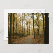 秋の木はがき ポストカード (正面/裏面)