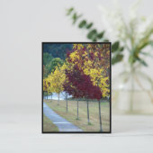 秋の木はがき ポストカード (スタンド正面)