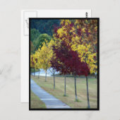 秋の木はがき ポストカード (正面/裏面)