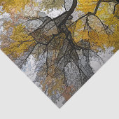 秋の木イエローグレー葉の空 薄葉紙 (詳細)