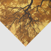 秋の木オレンジ離れの黄色の空 薄葉紙 (詳細)