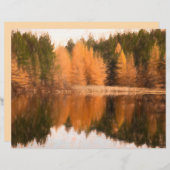 秋の木レイクオレンジ秋をテーマにしたスケッチアート (正面/裏面)