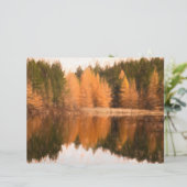 秋の木レイクオレンジ秋をテーマにしたスケッチアート (スタンド正面)