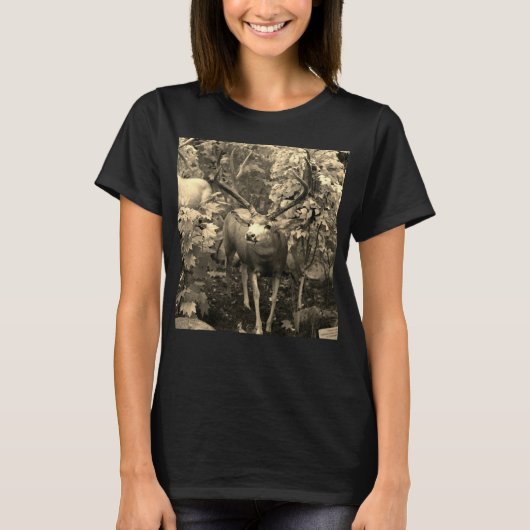 秋の木材パネルのホワイトテール Tシャツ (正面)