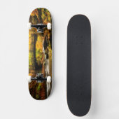 秋の木橋そして入り江 スケートボード (正面)