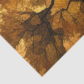 秋の木琥珀オレンジブラウン葉ズサンセット 薄葉紙 (詳細)