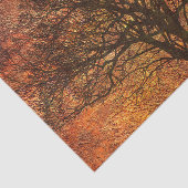 秋の木素朴のデコパージュ背景 薄葉紙 (詳細)