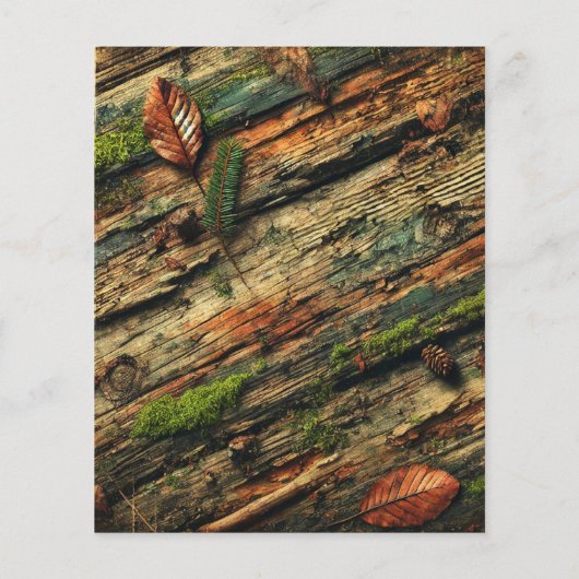 秋の木苔擦り切れたスクラップブック紙 (裏面)