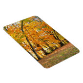 秋の木造の歩行者専用橋|過去記事 マグネット (右側)