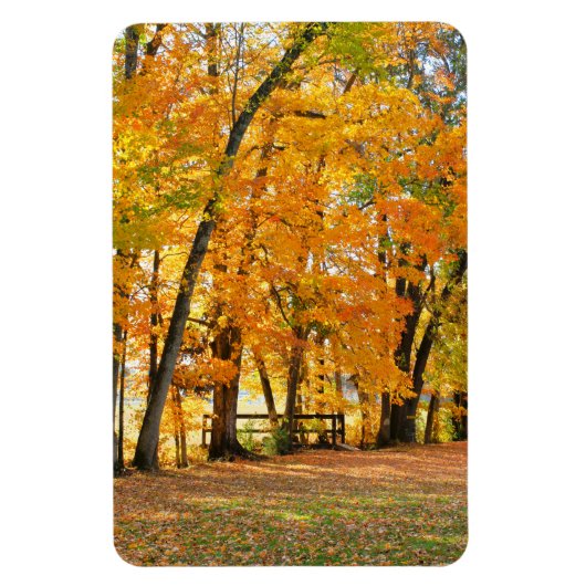 秋の木造の歩行者専用橋|過去記事 マグネット (縦)