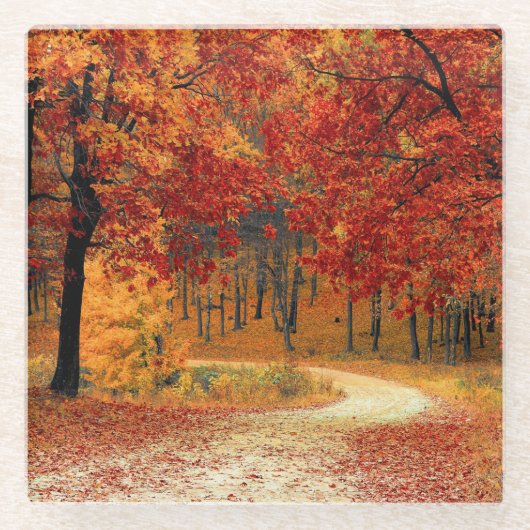 秋の木道 ガラスコースター (正面)