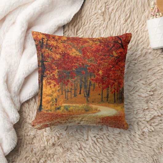 秋の木道 クッション (ブランケット)