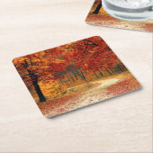 秋の木道 スクエアペーパーコースター (アングル)