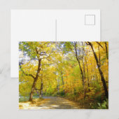 秋の木2004年写真…ブラッドリー公園 ポストカード (正面/裏面)