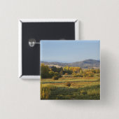 秋の木，カンコバン，雪の山，新 缶バッジ (正面&裏面)