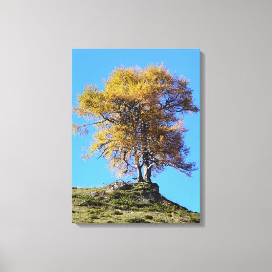 秋の木 キャンバスプリント (正面)