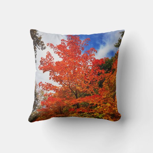 秋の木 クッション (裏面)