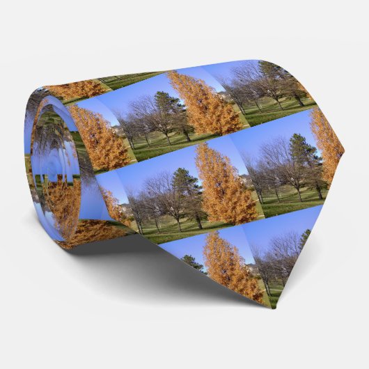 秋の木 ネクタイ (ロール)