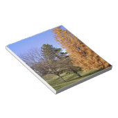 秋の木 ノートパッド (アングル)