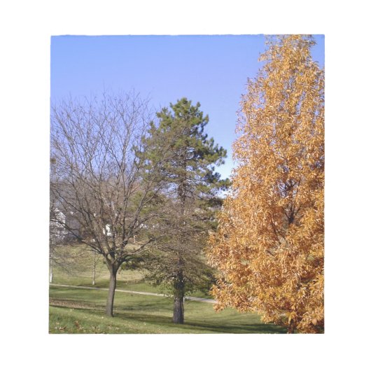 秋の木 ノートパッド (正面)