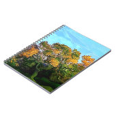 秋の木 ノートブック (左側)