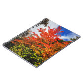 秋の木 ノートブック (左側)