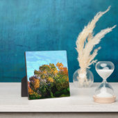 秋の木 フォトプラーク (インサイチュ)