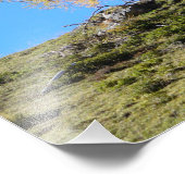 秋の木 フォトプリント            (角)